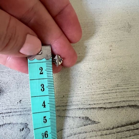 Tiffany Paloma graffiti earrings - Picture 7 of 8